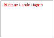 Tekstboks: Bilde av Harald Hagen

