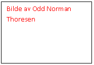 Tekstboks: Bilde av Odd Norman Thoresen