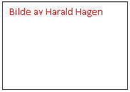 Tekstboks: Bilde av Harald Hagen    