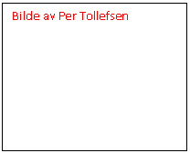 Tekstboks: Bilde av Per Tollefsen    