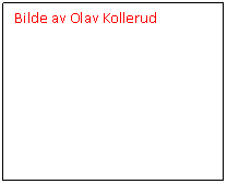 Tekstboks: Bilde av Olav Kollerud    
