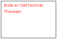 Tekstboks: Bilde av Odd Norman Thoresen