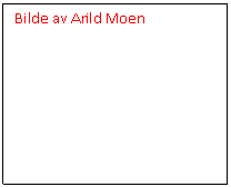 Tekstboks: Bilde av Arild Moen    