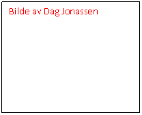 Tekstboks: Bilde av Dag Jonassen    
