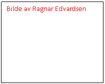 Tekstboks: Bilde av Ragnar Edvardsen    